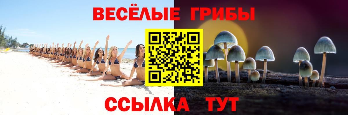 Галлюциногенные грибы GOLDEN TEACHER  Галлюциногенные грибы GOLDEN TEACHER  Вход с VPN  где можно купить   Коряжма 